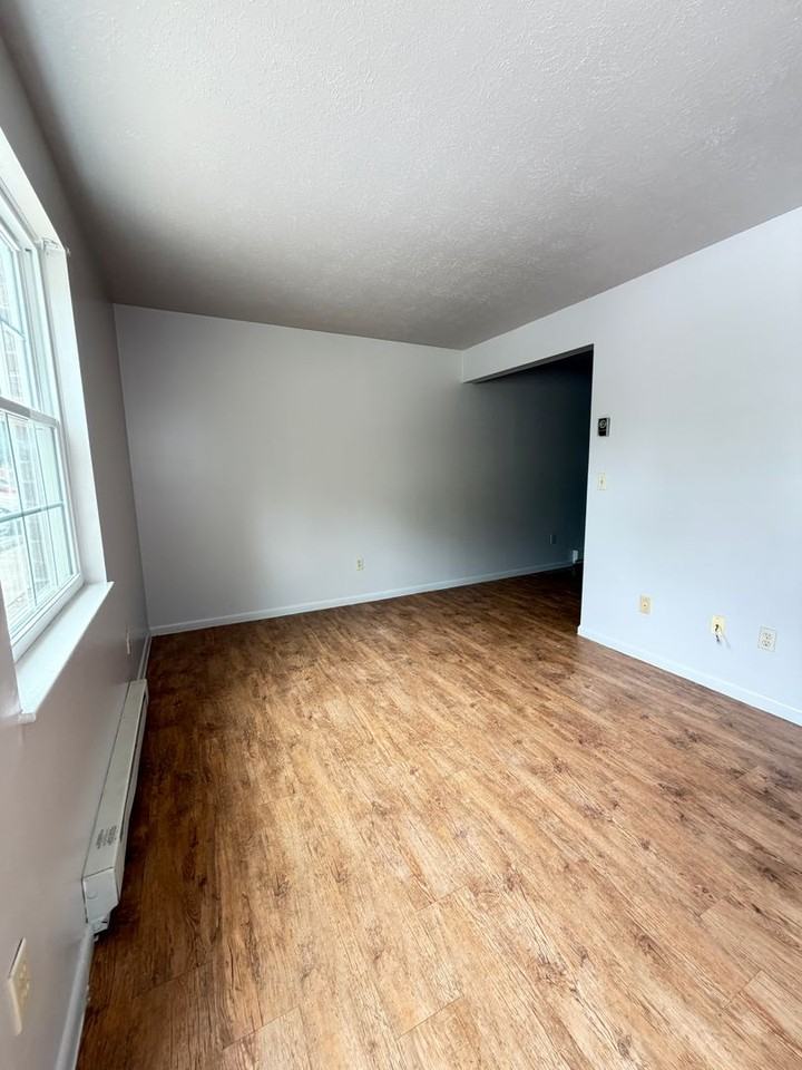 91 Dutch Mill Ct - Photo 4 of 6