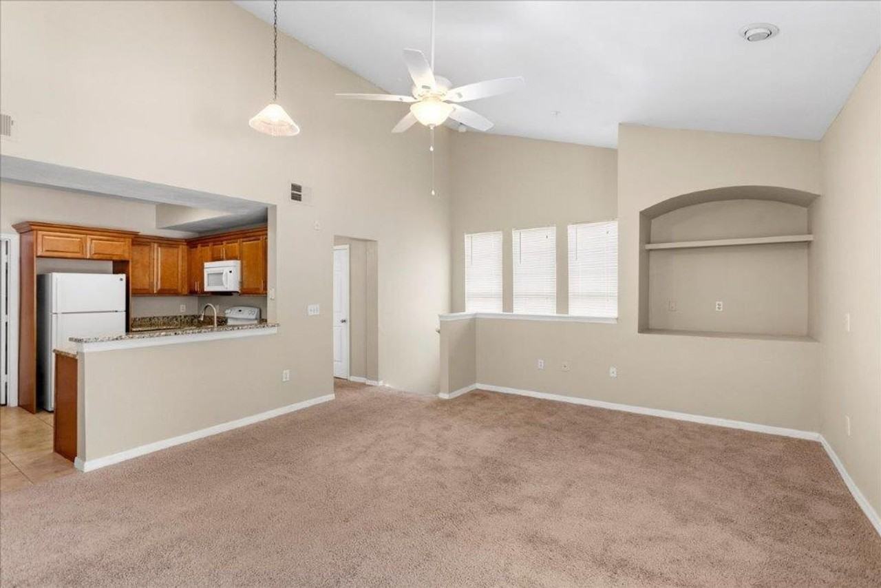 1101 Vintage Village Ln #101 - Photo 4 of 18