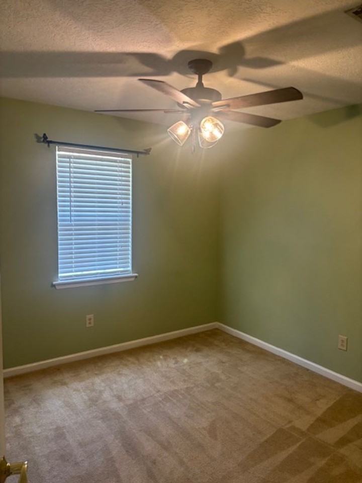 4621 Shadow Moss Ct - Photo 6 of 14