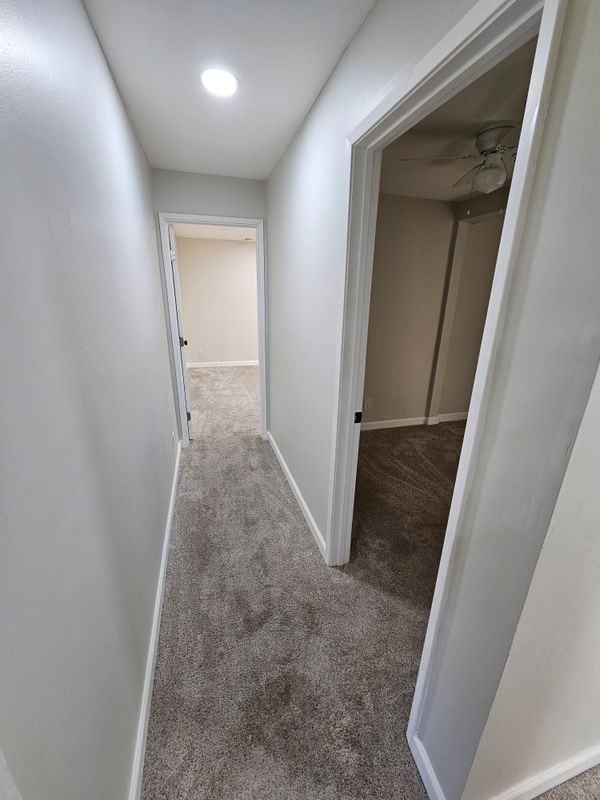 1228 W Palm Ave - Photo 5 of 15