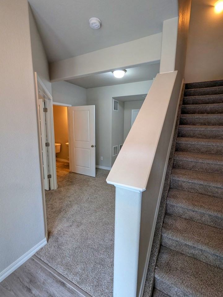 7519 Mount Elbert Pt - Photo 4 of 27