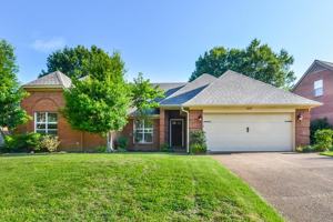 featured image of 6641 Bright Star Ln