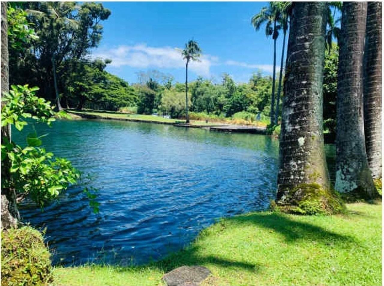 Waiakea Villas - Photo 2 of 18