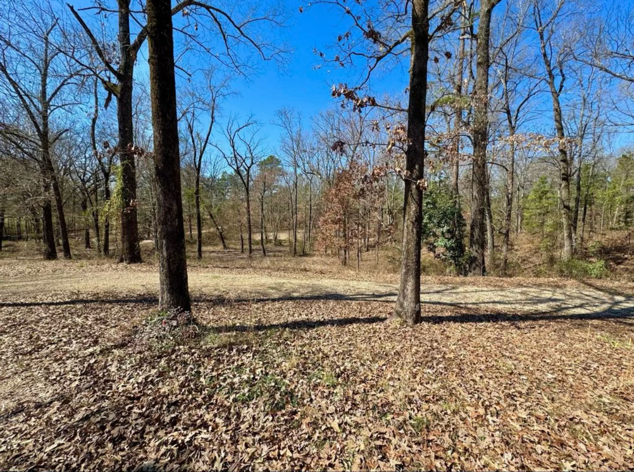 6226 Summerhill Rd - Photo 4 of 8