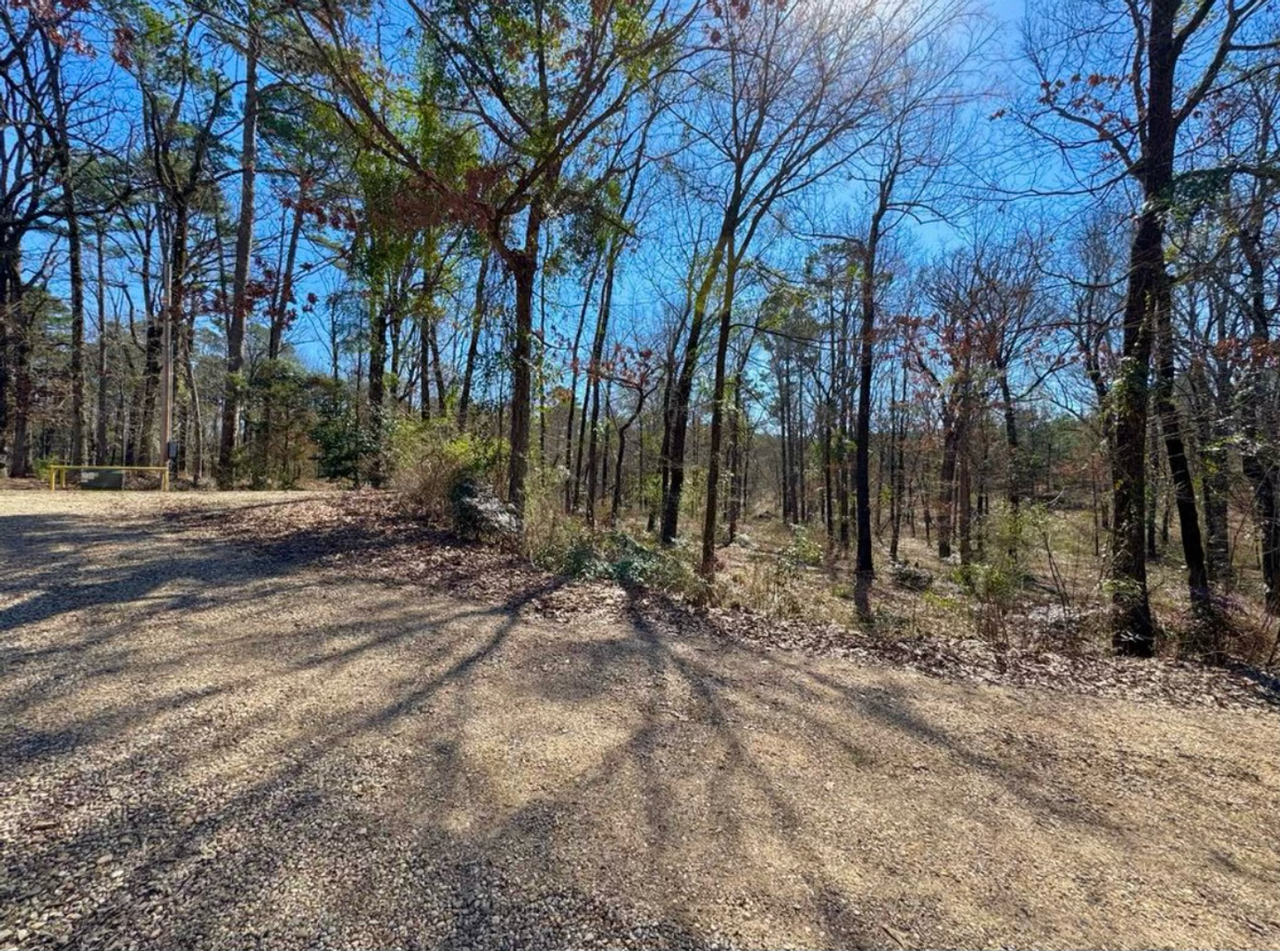 6226 Summerhill Rd - Photo 5 of 8