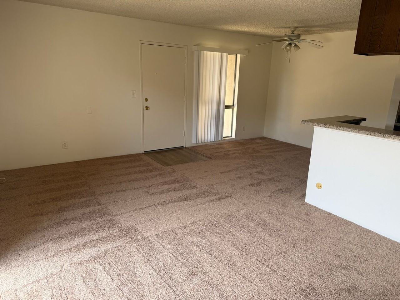 820 Coriander Dr - Photo 3 of 12