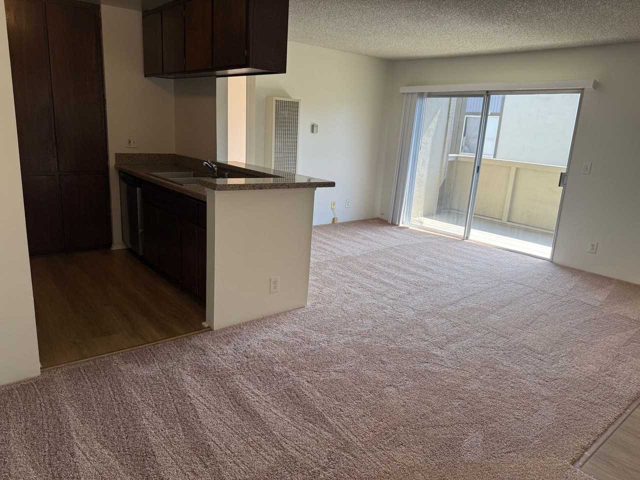 820 Coriander Dr - Photo 4 of 12