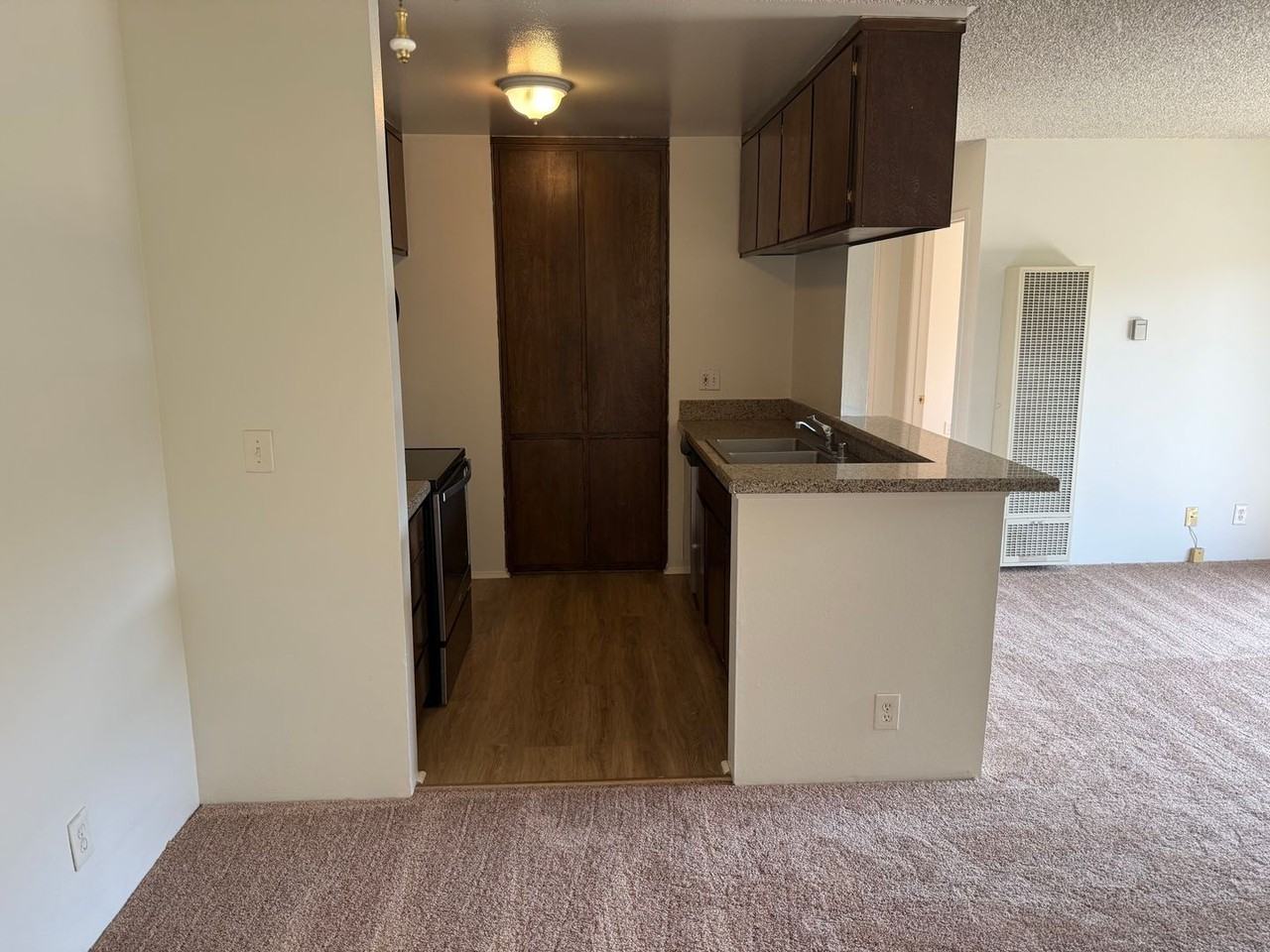 820 Coriander Dr - Photo 5 of 12
