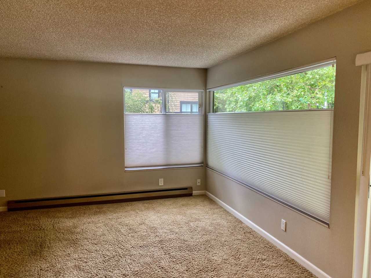 321 Bellevue Way Se #406 - Photo 3 of 11
