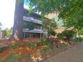 4127 California Ave Sw Apt 4 #Apt 4 - Photo 1 of 1