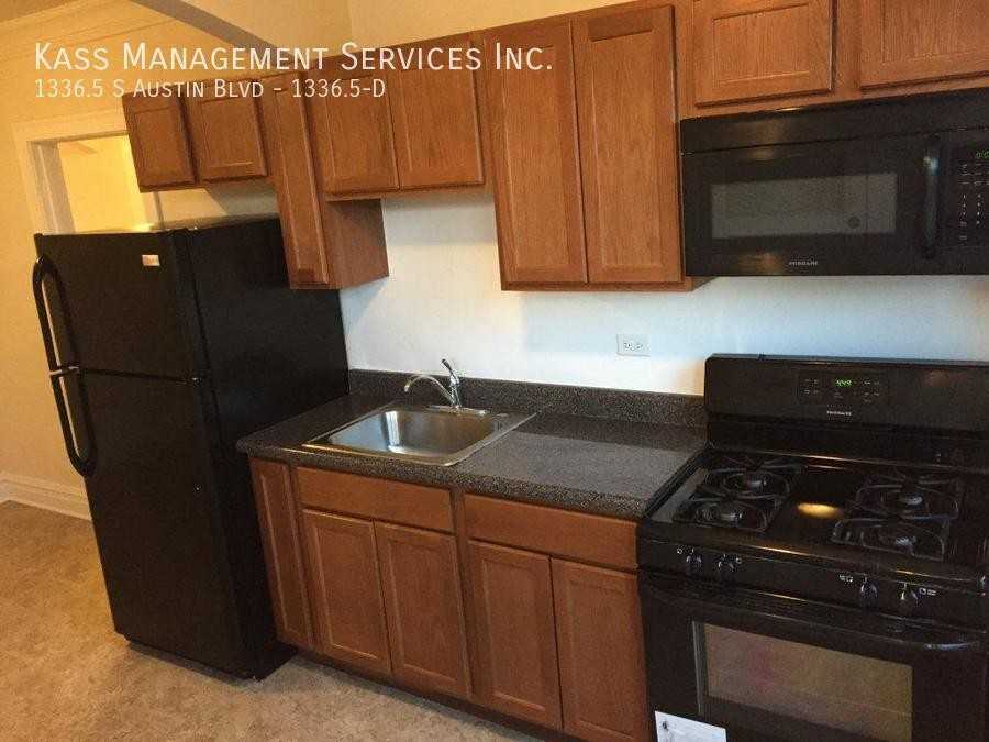 S Austin Blvd #1336-5D - Photo 2 of 10