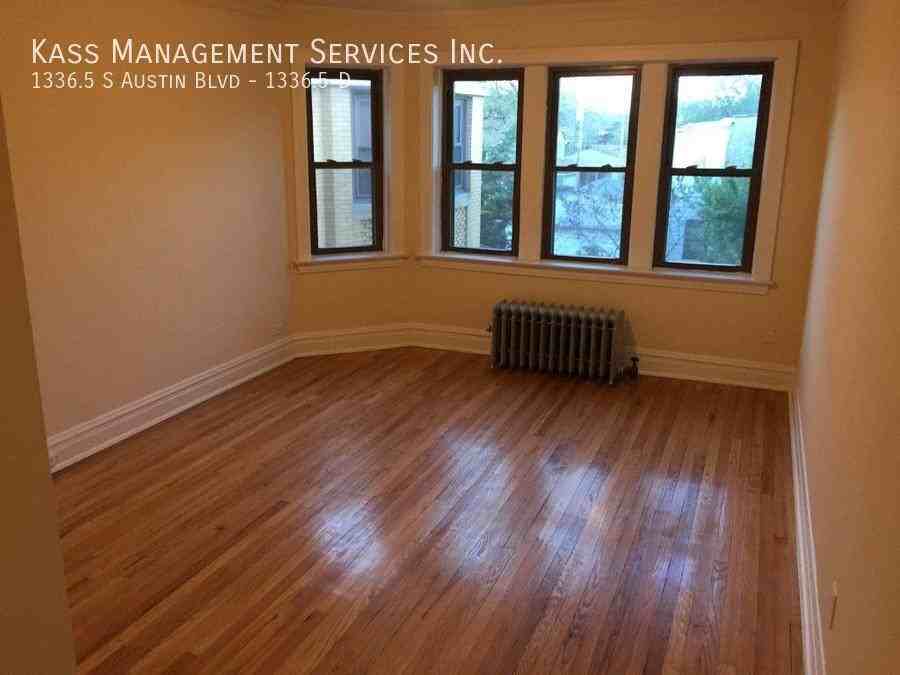 S Austin Blvd #1336-5D - Photo 3 of 10