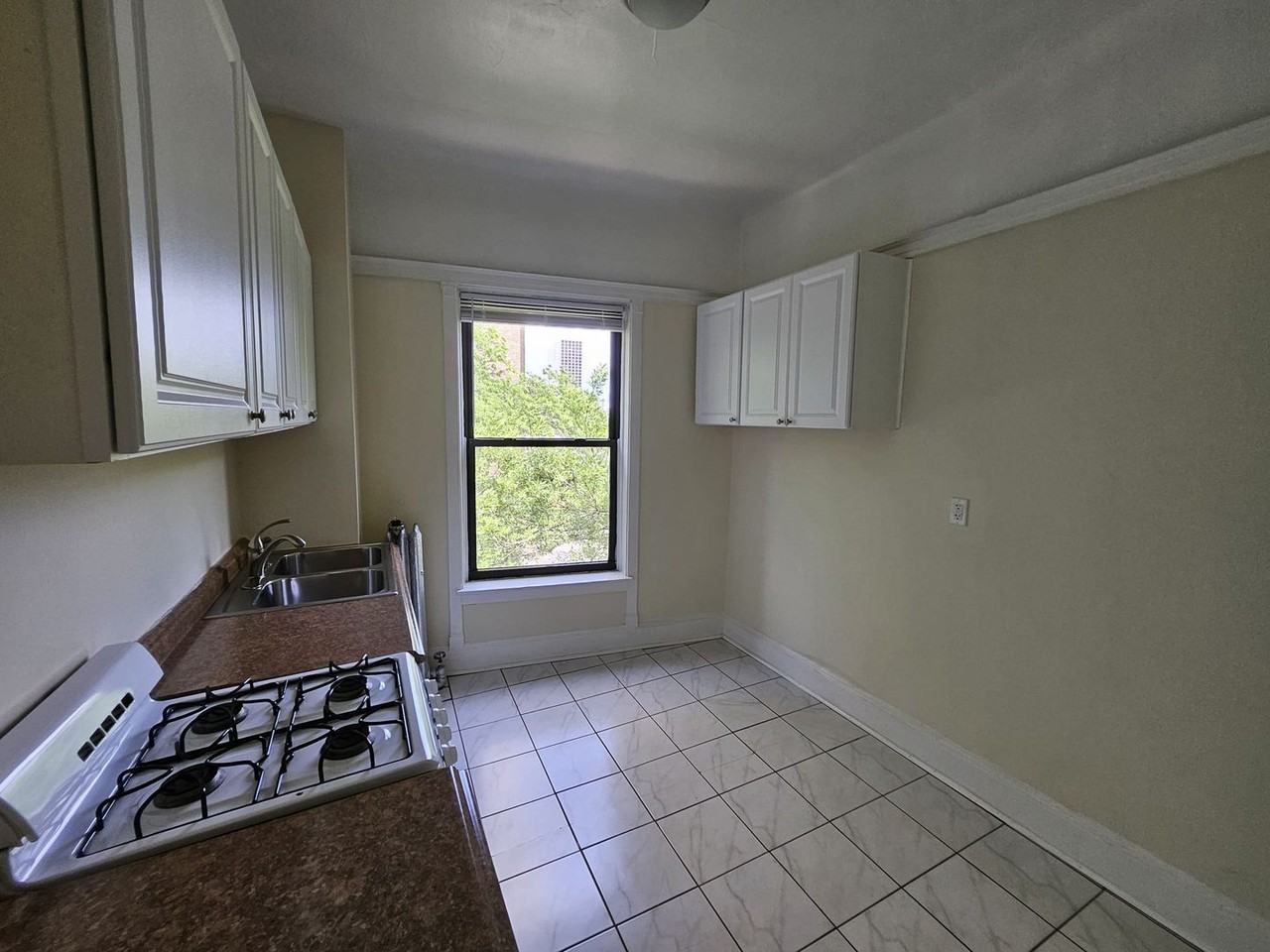 817 W Belle Plaine Ave #3F - Photo 7 of 12