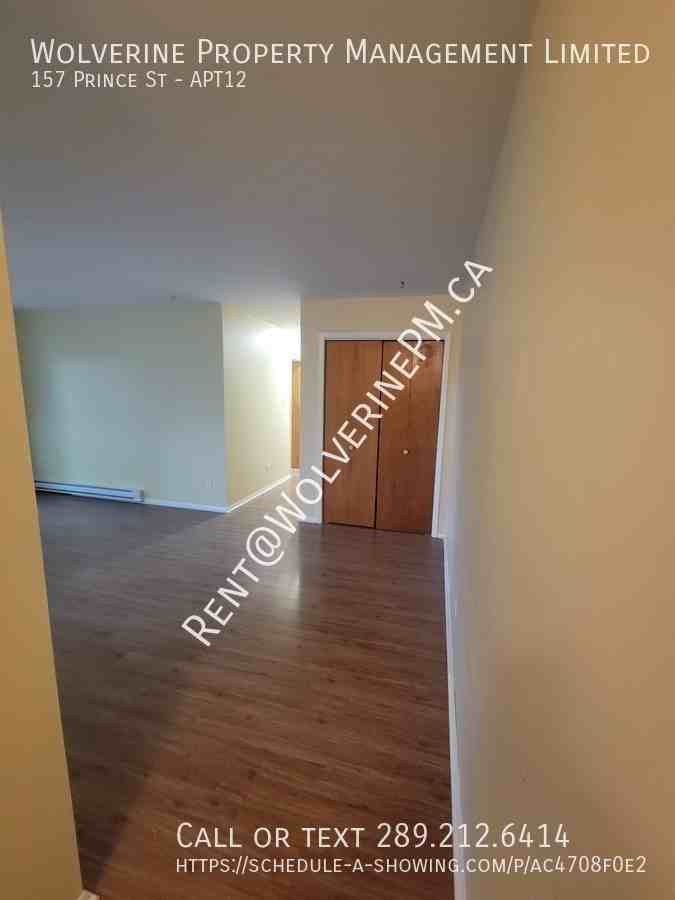 157 Prince St #12 - Photo 4 of 29