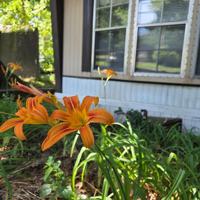featured image of 134 Coil Rd