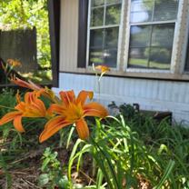 134 Coil Rd - Photo 1 of 1
