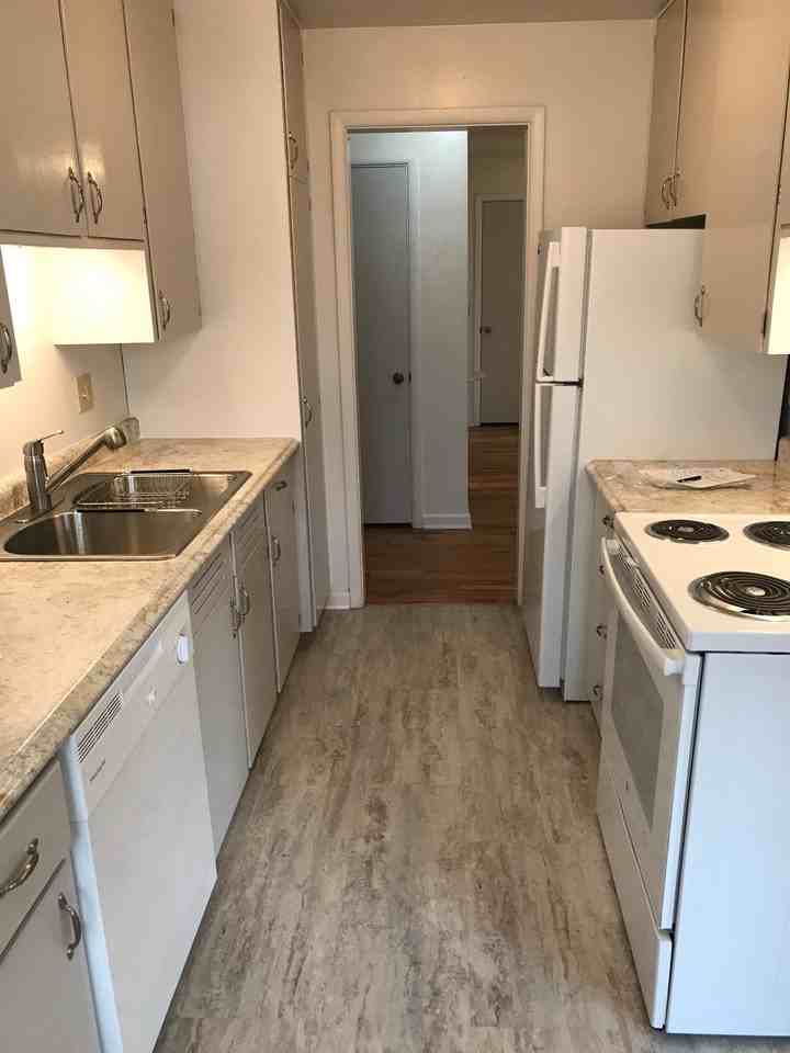 313 Eugenia Ave #1 - Photo 5 of 10