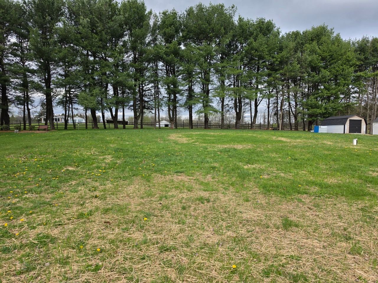 111 Robinson Run Rd - Photo 5 of 20
