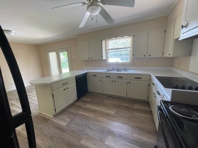 1174 Carters Creek Pike #A - Photo 2 of 10