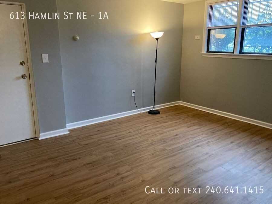 613 Hamlin St Ne #1A - Photo 3 of 16