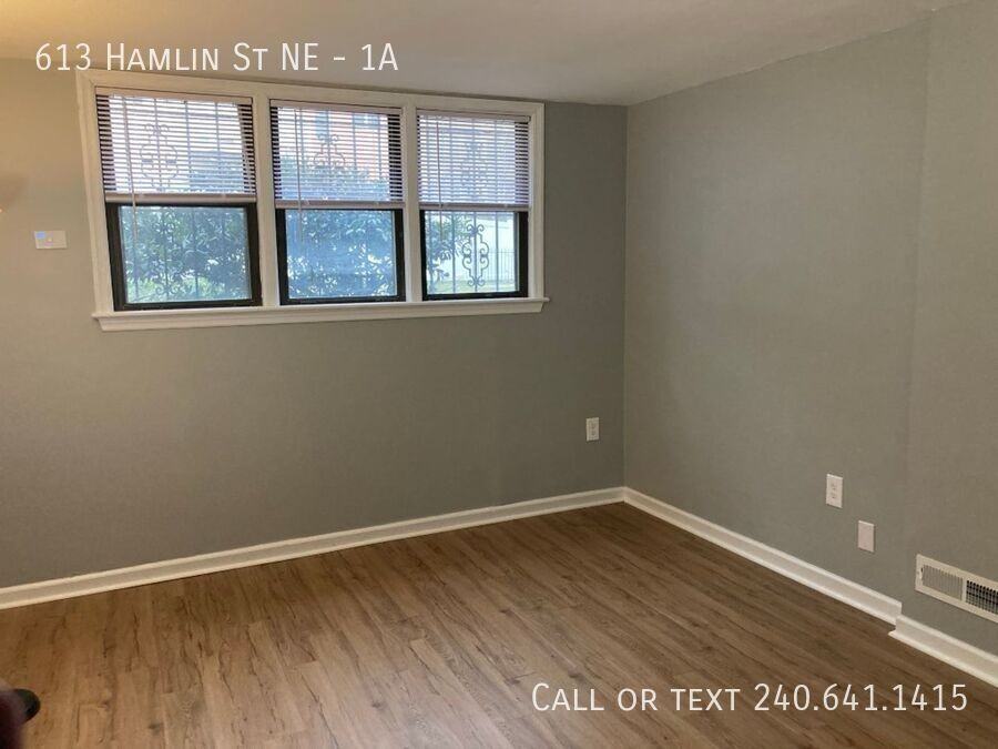 613 Hamlin St Ne #1A - Photo 4 of 16