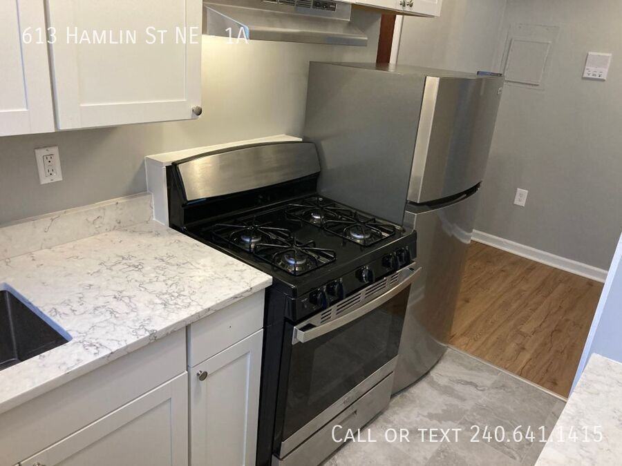 613 Hamlin St Ne #1A - Photo 5 of 16