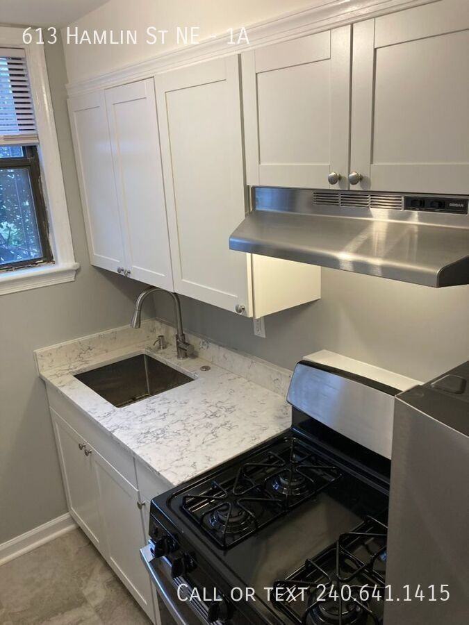 613 Hamlin St Ne #1A - Photo 6 of 16