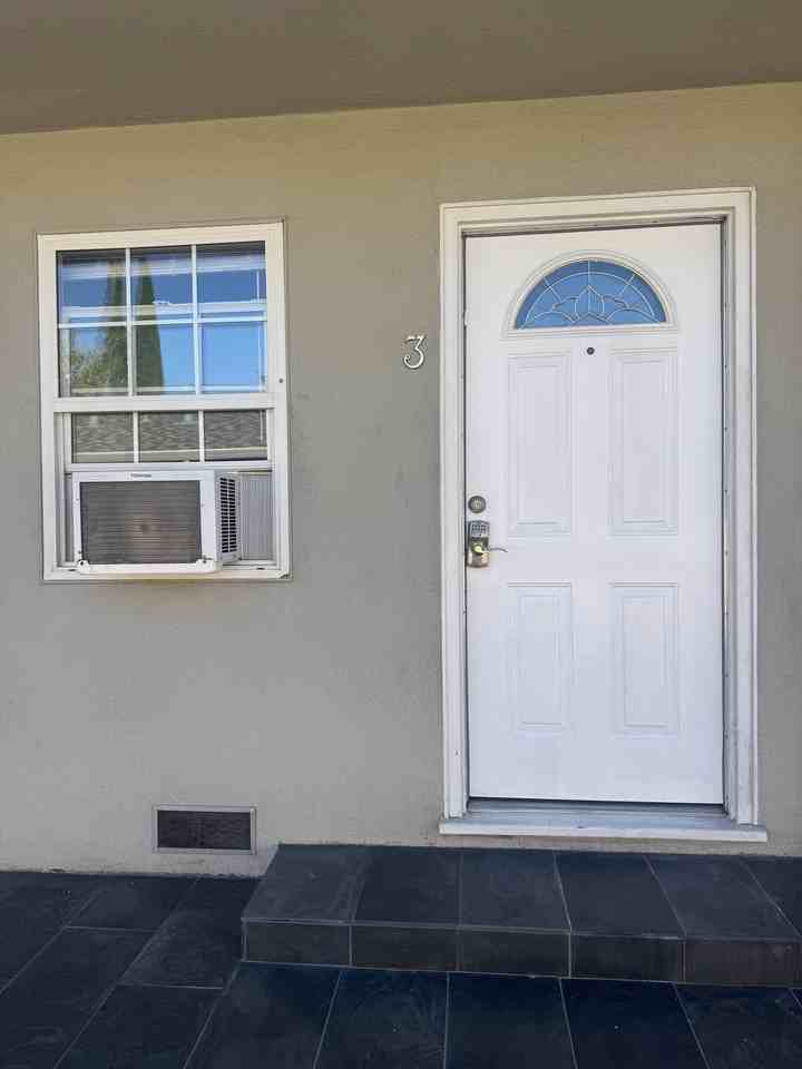 Lewis - Photo 2 of 14