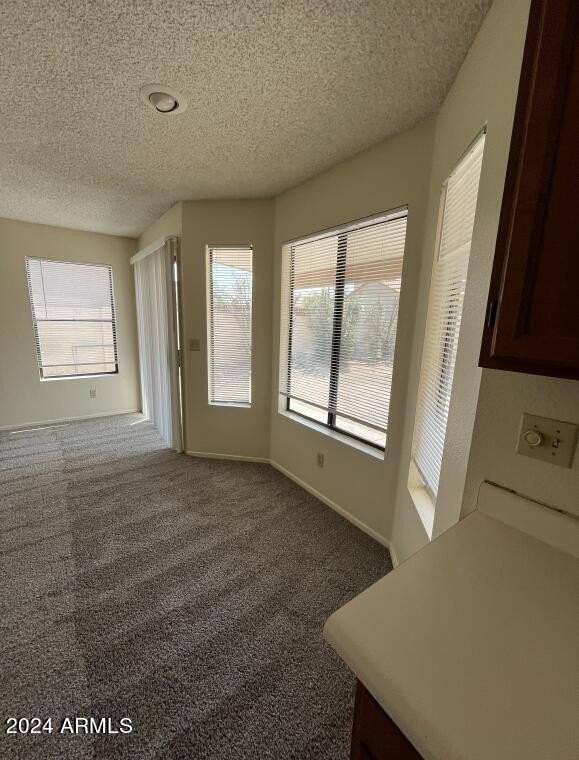 14846 S 27th St - Photo 5 of 18