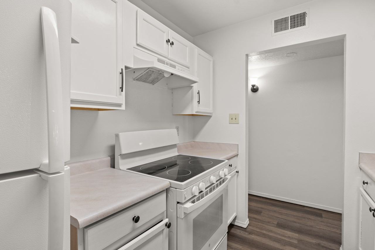1105 Calle Mesquite #0 - Photo 5 of 14