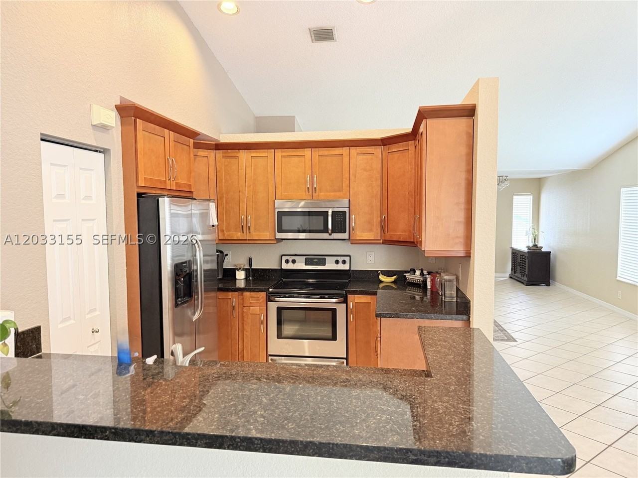 1530 Canary Island Dr - Photo 3 of 19
