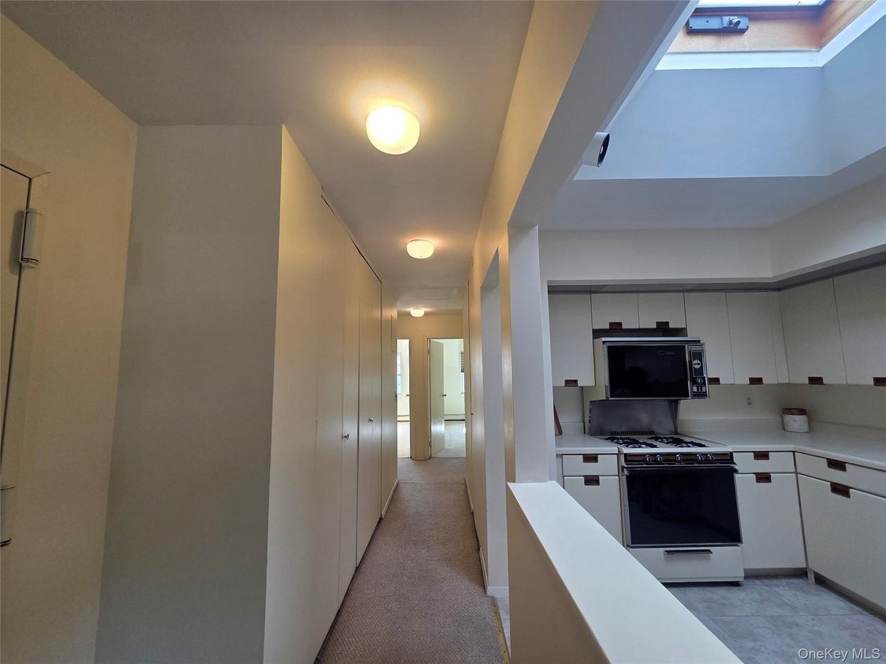 1229 Diane Pl #195U - Photo 5 of 39