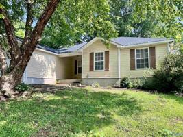 featured image of 232 Mountain Creek Dr
