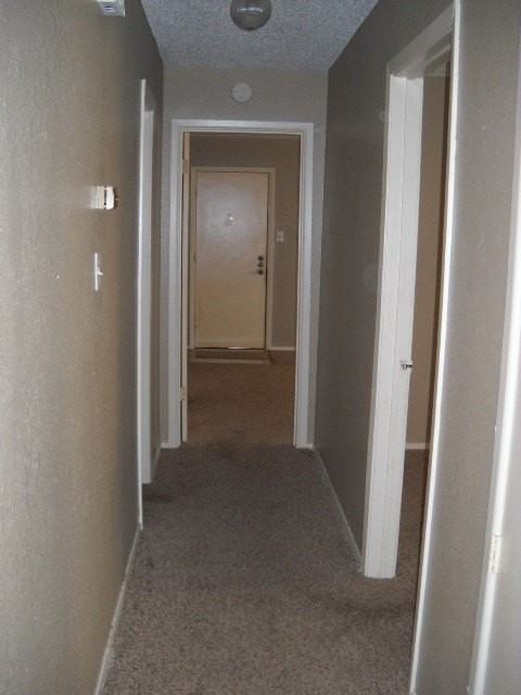 925 Minter Ln - Photo 6 of 10