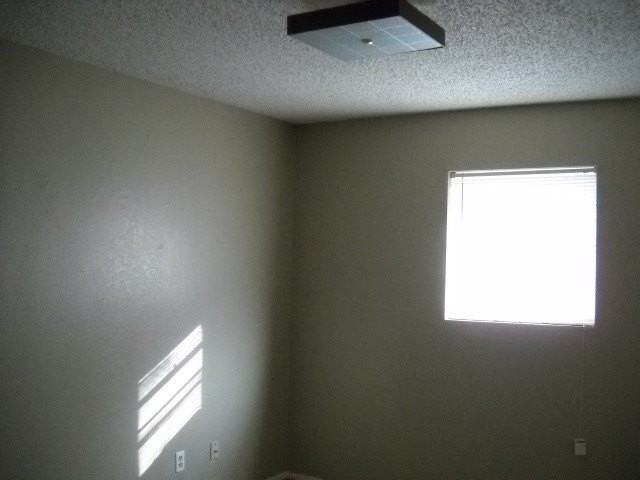 925 Minter Ln - Photo 7 of 10