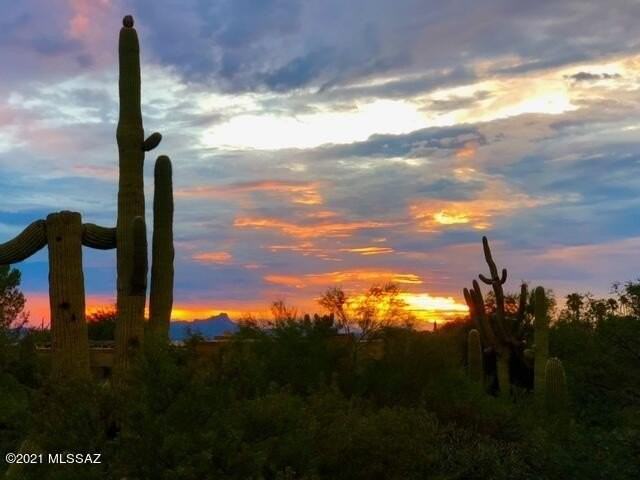 6561 N Avenida De Posada - Photo 4 of 50