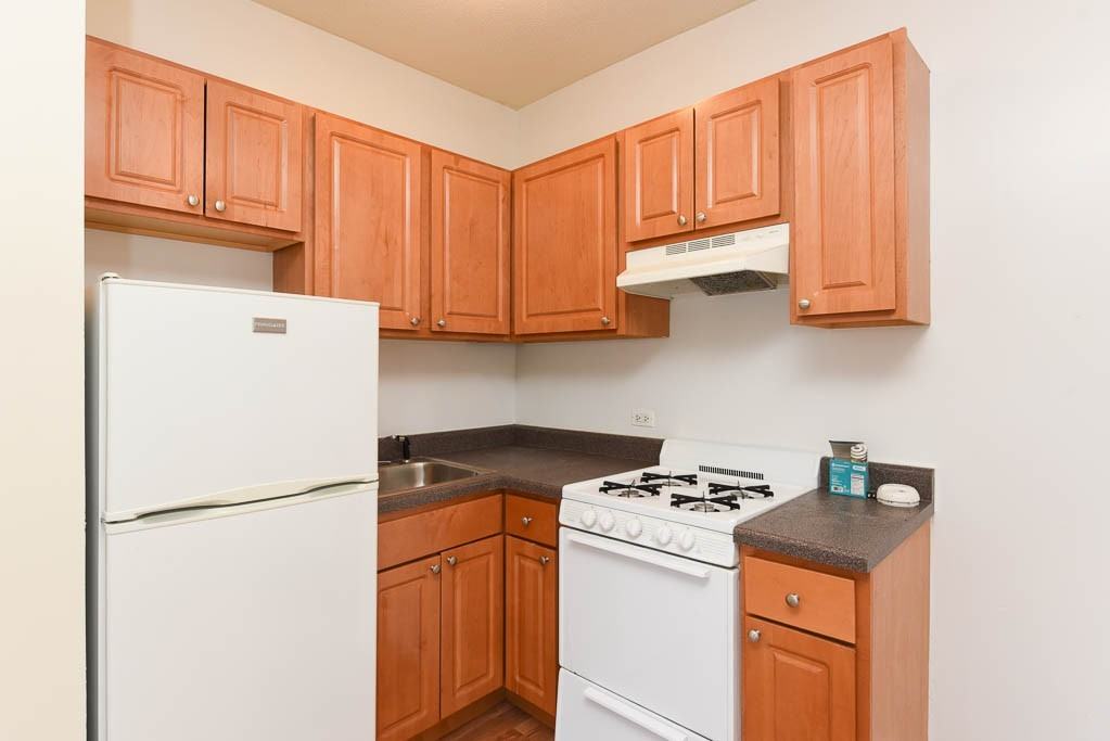 1742 N Humboldt Blvd #403 - Photo 2 of 19
