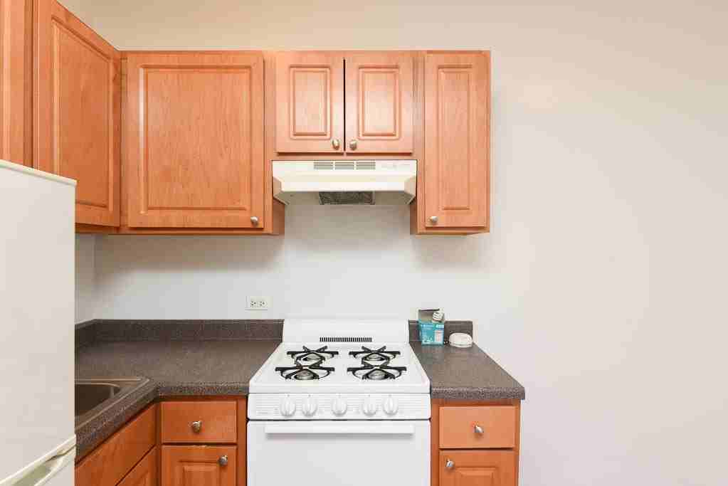 1742 N Humboldt Blvd #403 - Photo 3 of 19