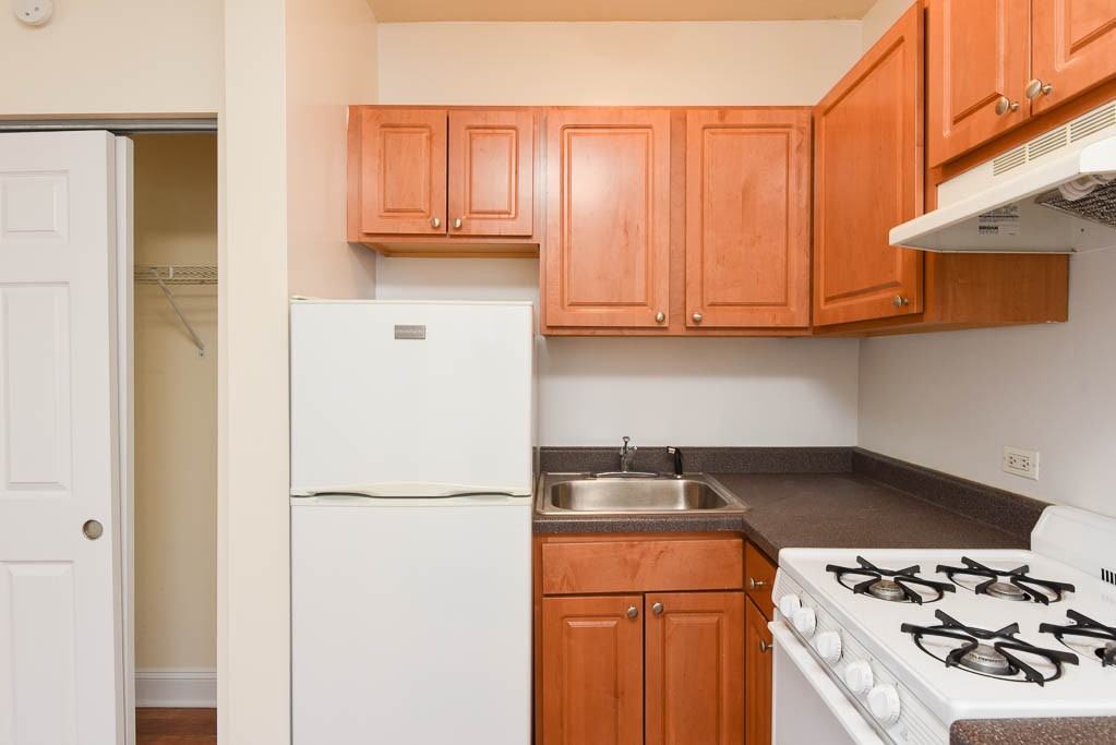 1742 N Humboldt Blvd #403 - Photo 4 of 19