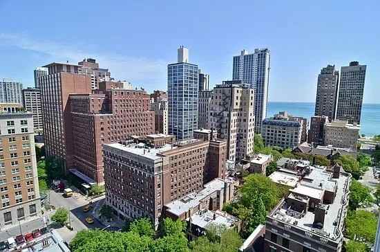 1224 N State Pkwy #19C - Photo 6 of 11