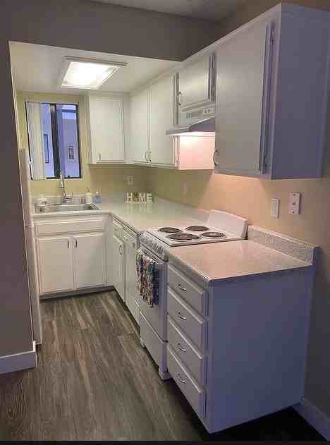 4042 Albatross St - Photo 3 of 9