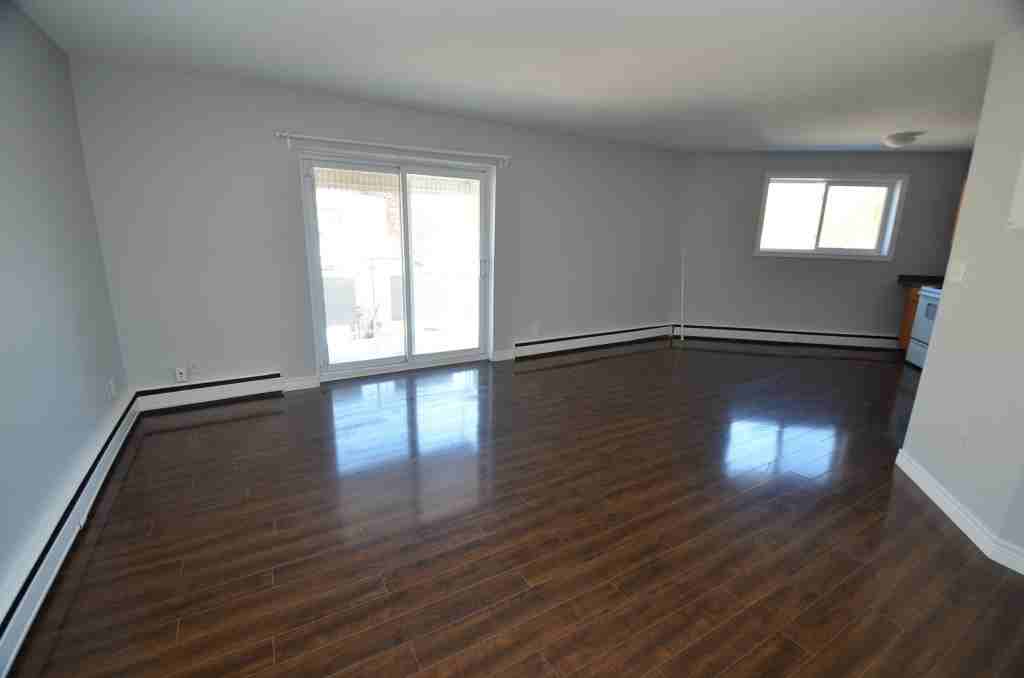 114 George Street #7 - Photo 4 of 16