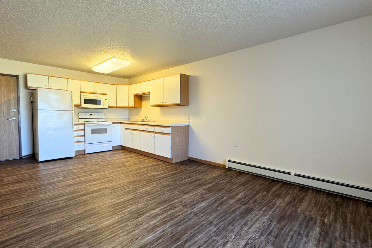 River Square (55+ Senior Living) Apartments - Photo 7 of 9