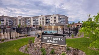 Forest Creek - Photo 1 of 1