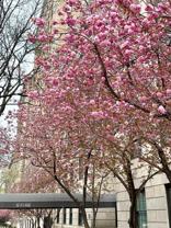 5th Ave & E 97th St #510 - Photo 1 of 1