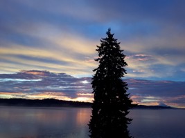 featured image of 8194 Silverdale Way Nw #JTNP