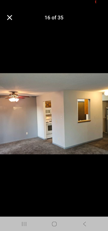 157 Mindy Ln #29 - Photo 4 of 9
