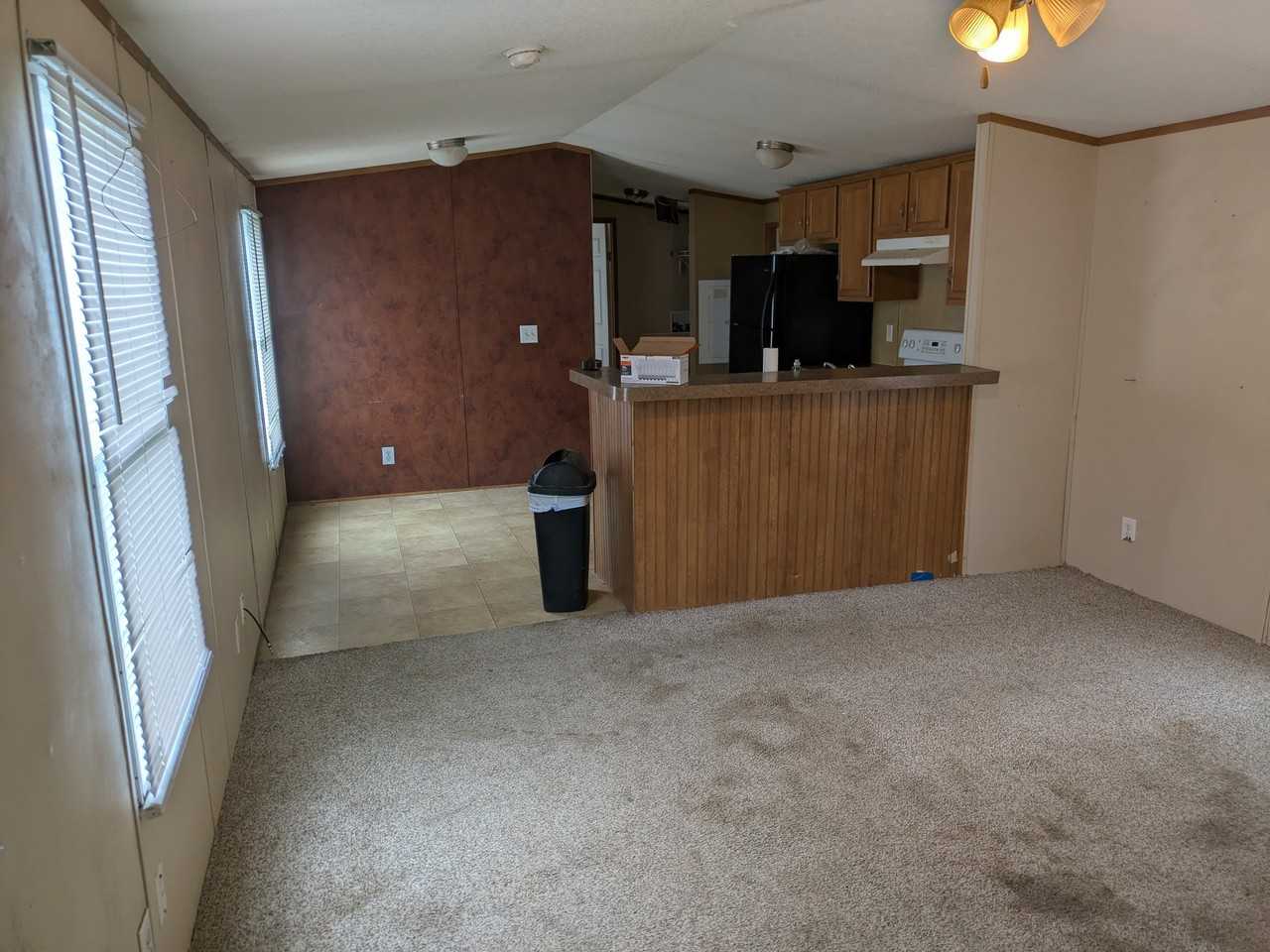 203 E Lincoln St #LOT4 - Photo 3 of 13