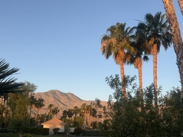 80706 Hermitage