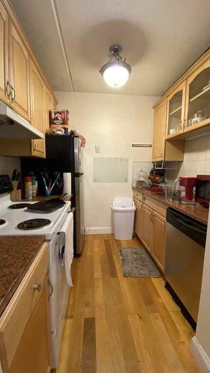12-16 Ellery St - Photo 5 of 13